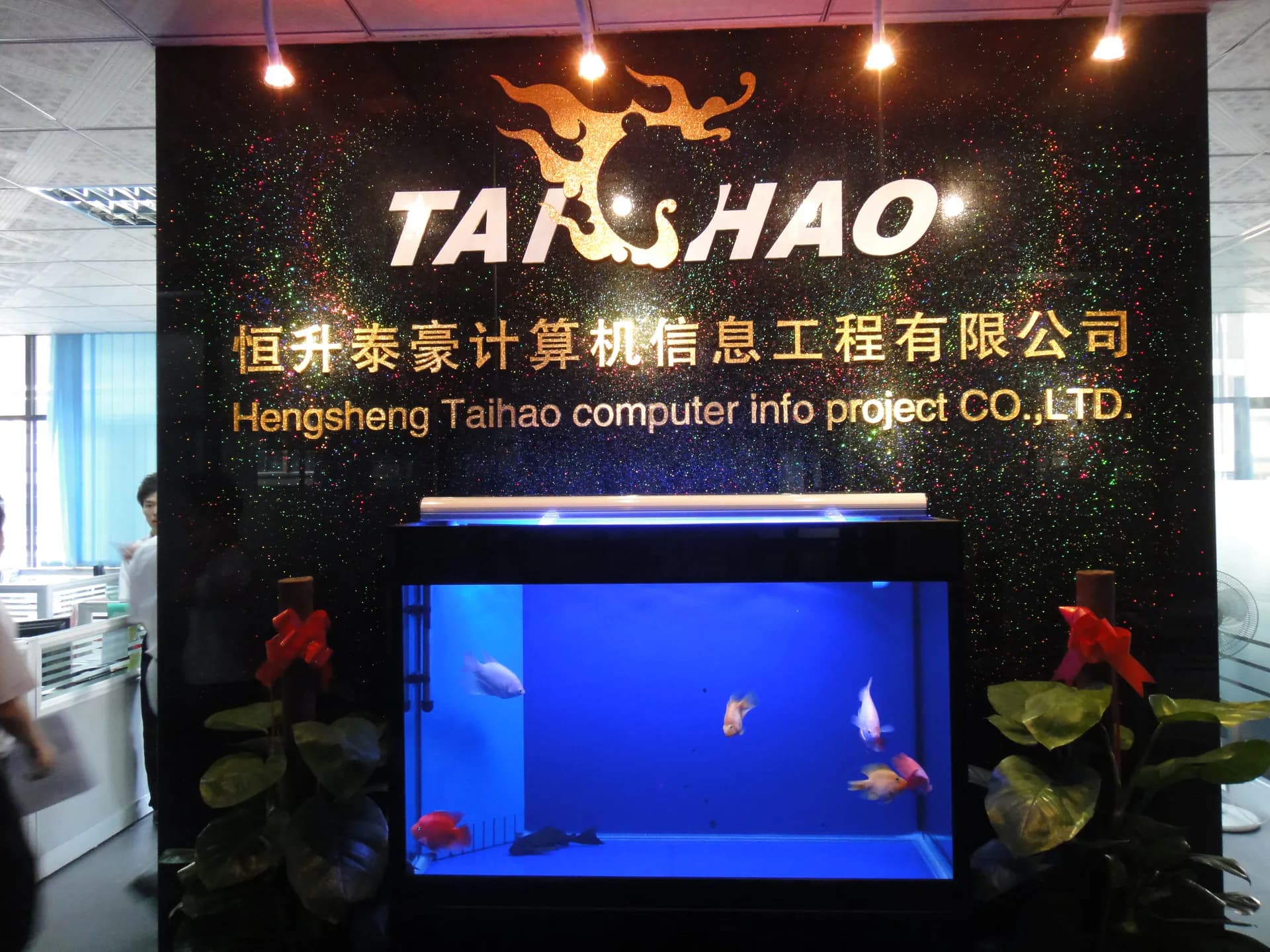 2008年发展历程