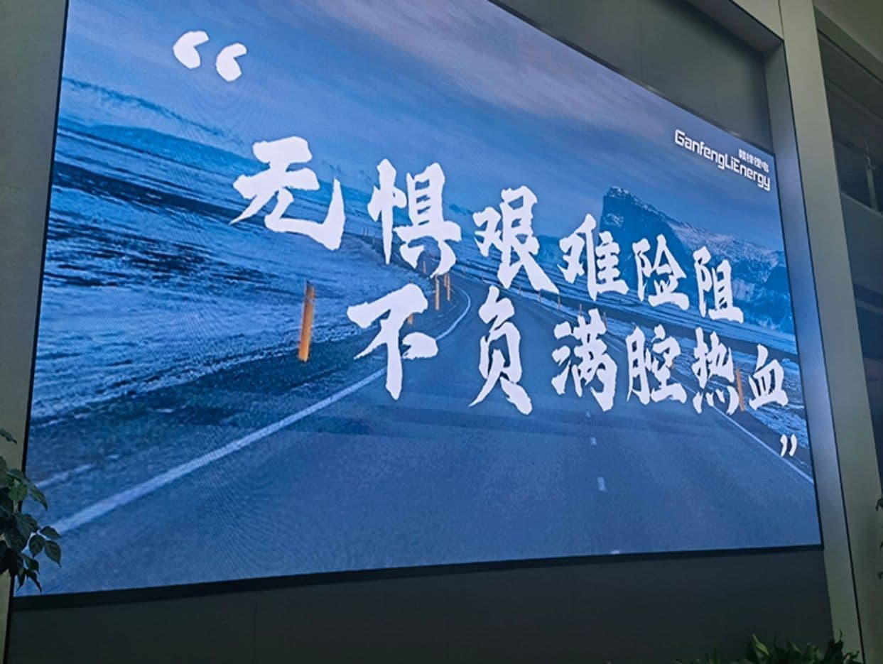惠州-赣锋锂电科技有限公司 现场图 3