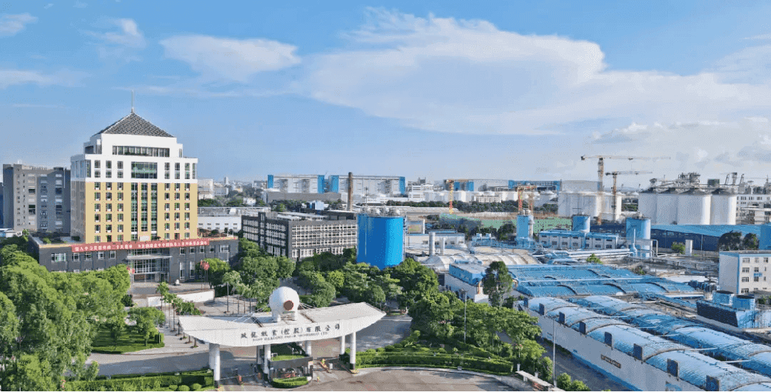 玖龙集团-各厂信息化建设